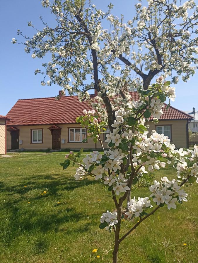 Vingi Apartment 12 Pärnu Eksteriør billede